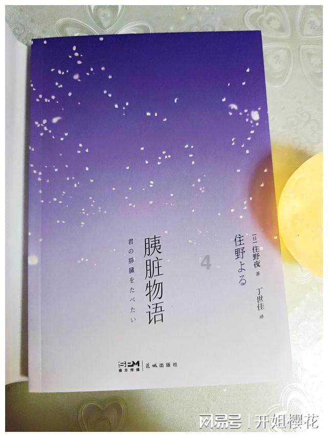 寻找萌宠松鼠