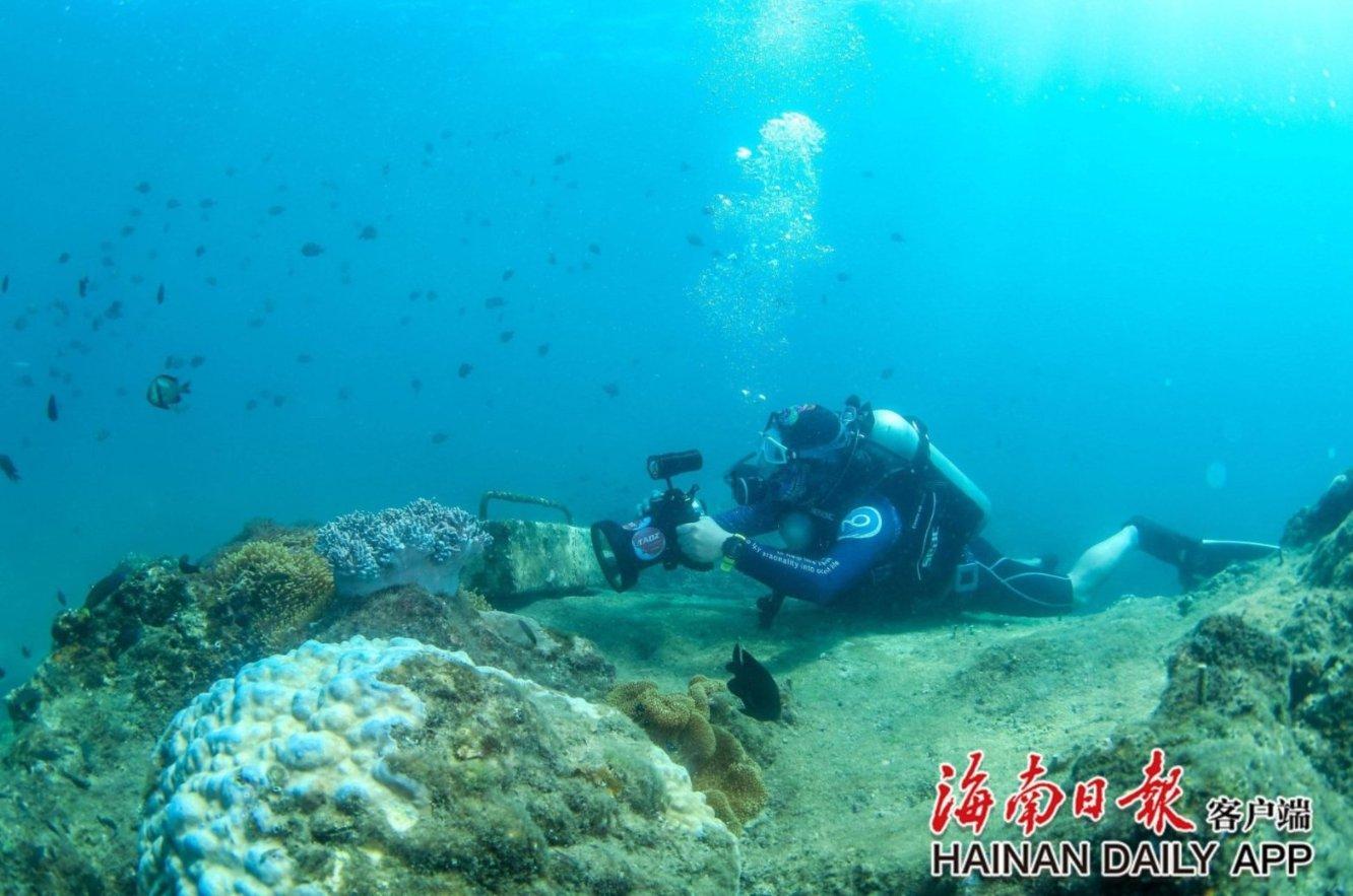 逃离沙地