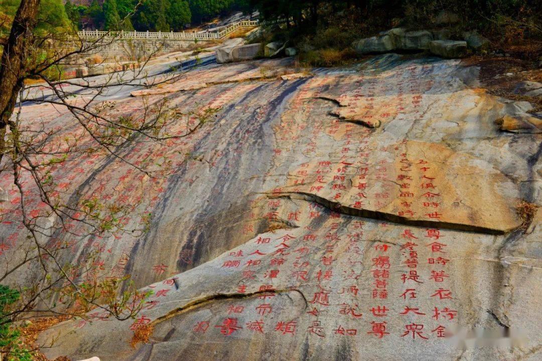 春节归家，十堰火车站旅客行囊里装着哪些故事？